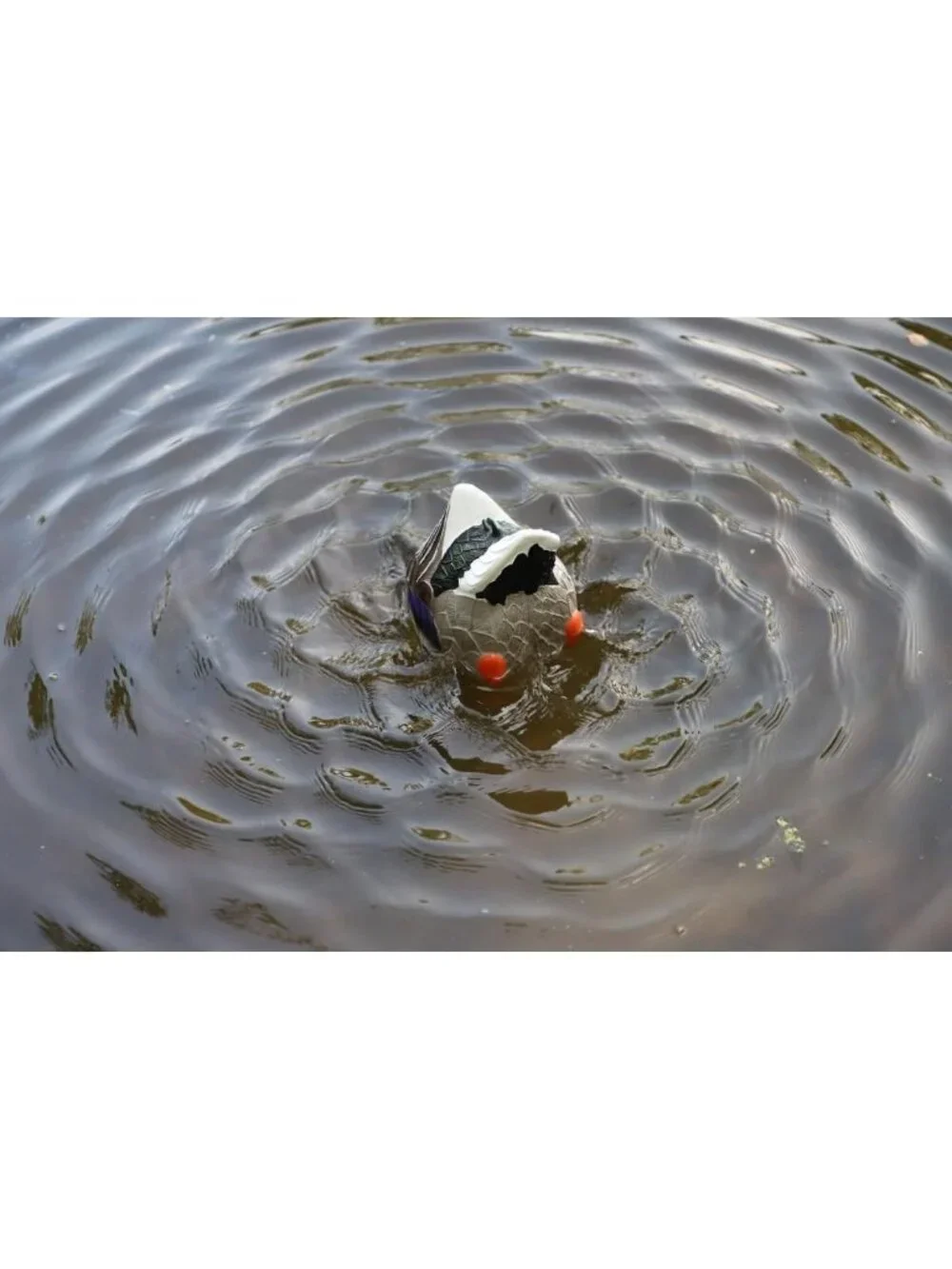 Realistic Mallard Duck Decoy with Butt Up Rippler for Hunting & Outdoor Fun